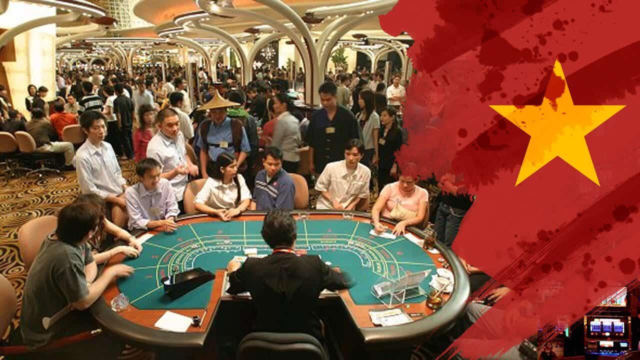 Tìm hiểu cách sử dụng hiệu quả CSDL của Bộ Giáo Dục để nâng cao chất lượng học tập